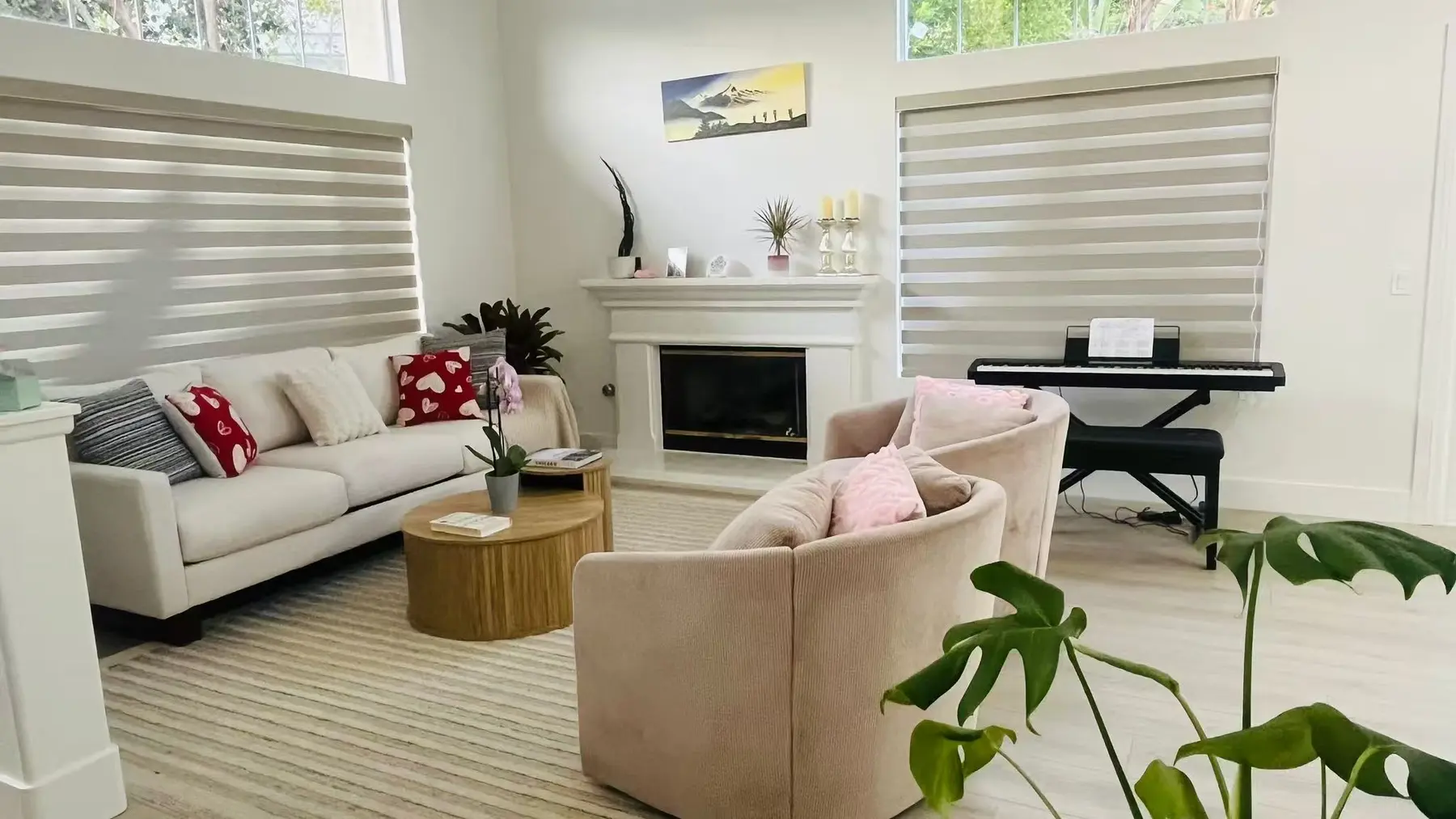 Two taupe Zebra shades in a bright living room