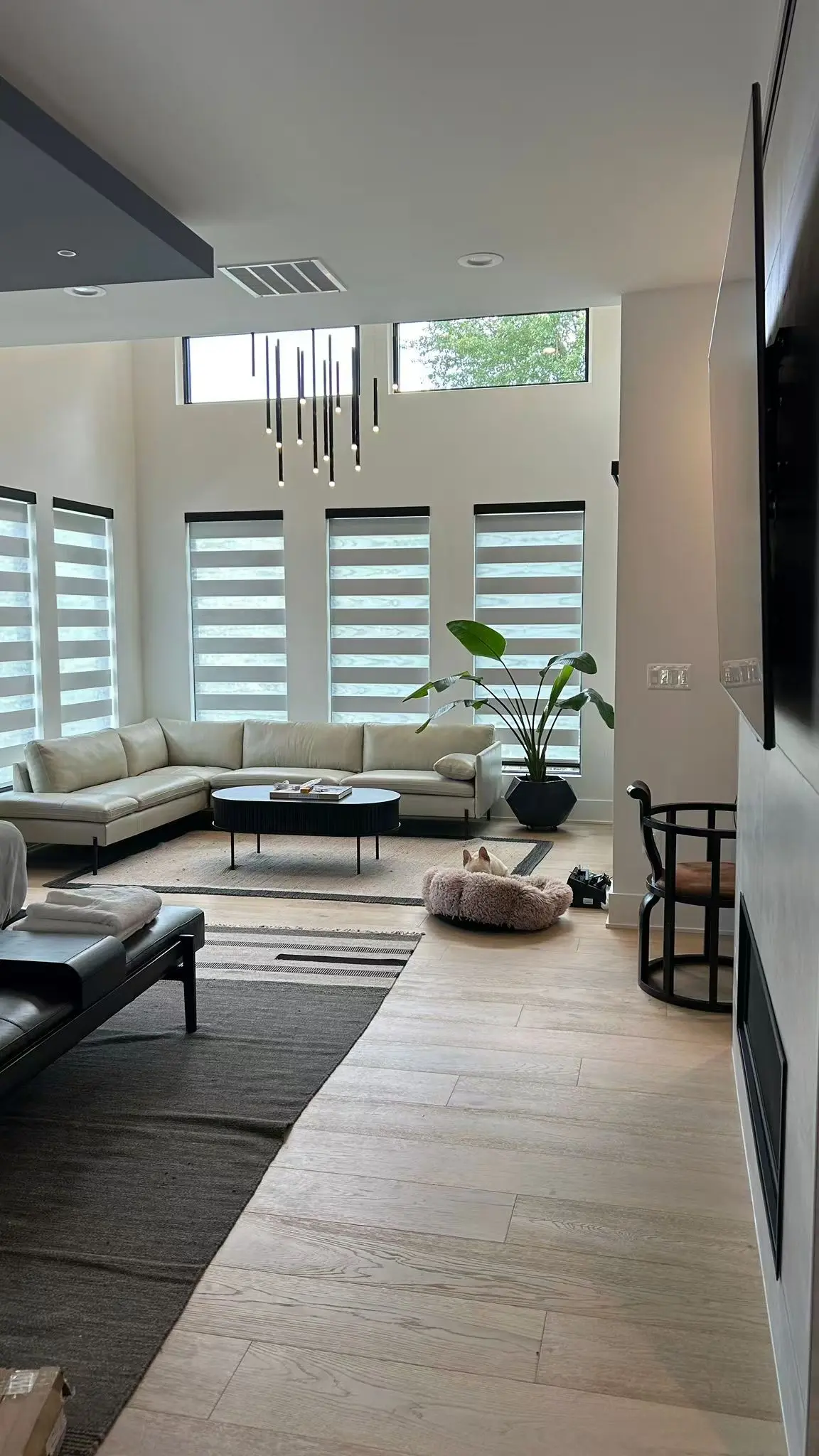 Zebra shades across a tall modern living room